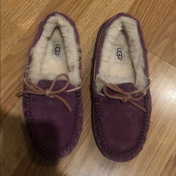 UGG Shoes - UGG: NWOT Dakota Purple suede slippers